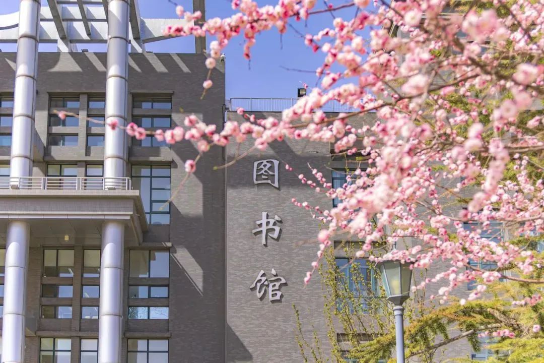 尊龙凯时人生就是博z6com(中国游)官网