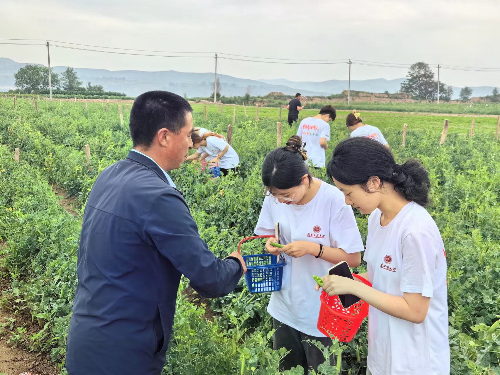 尊龙凯时人生就是博z6com(中国游)官网