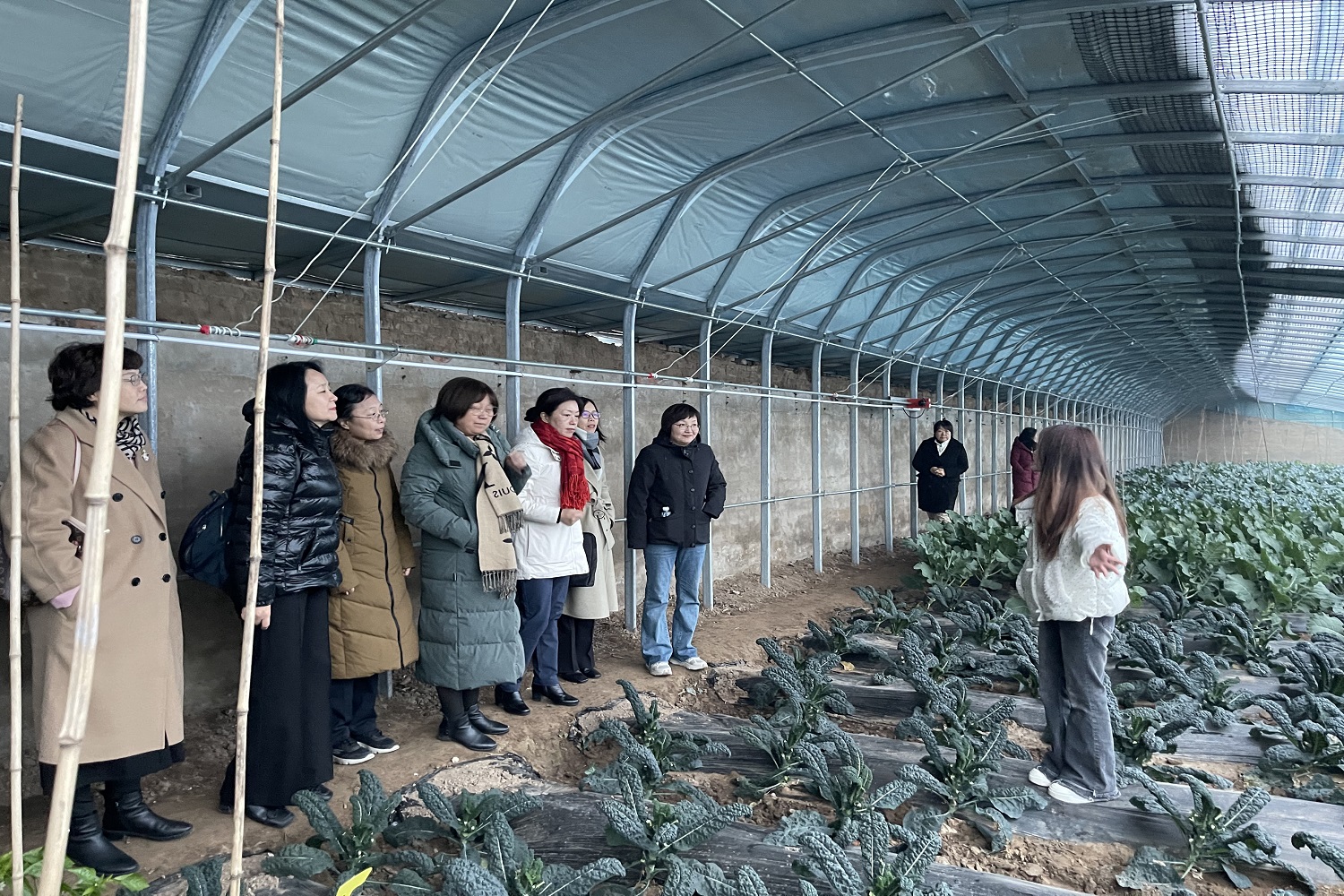 尊龙凯时人生就是博z6com(中国游)官网